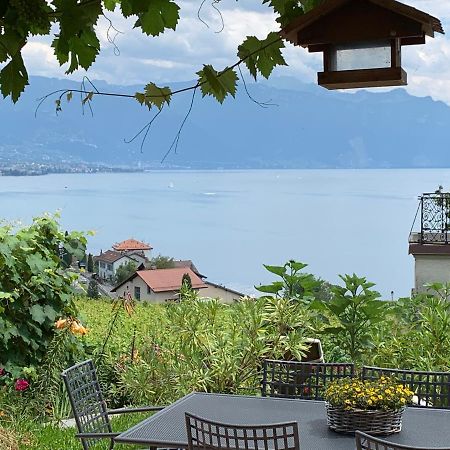 Appartement La Gremillette Gourmande Lavaux à Rivaz Extérieur photo