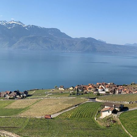 Appartement La Gremillette Gourmande Lavaux à Rivaz Extérieur photo