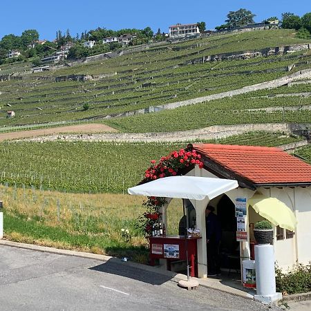 Appartement La Gremillette Gourmande Lavaux à Rivaz Extérieur photo