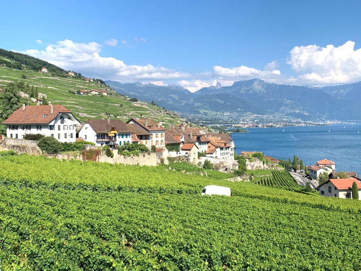 Appartement La Gremillette Gourmande Lavaux à Rivaz Extérieur photo