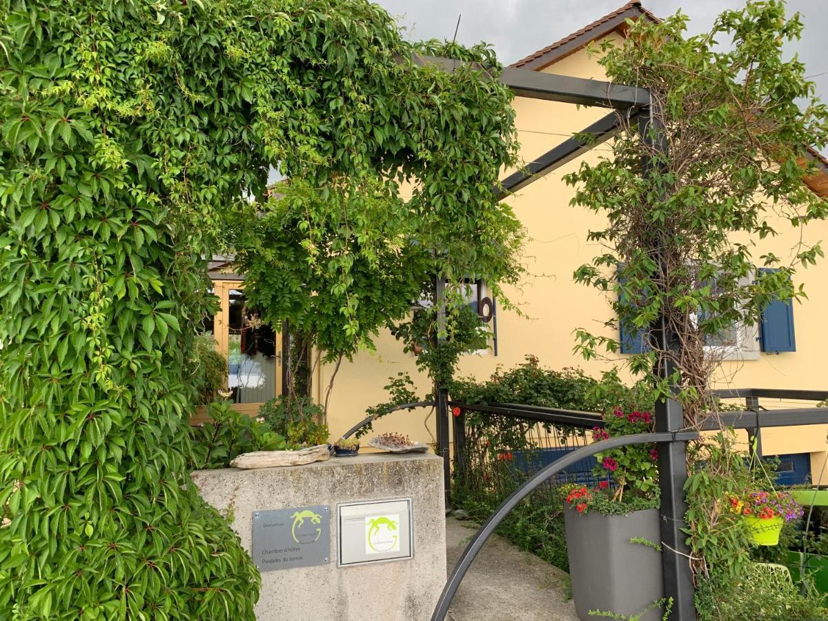 Appartement La Gremillette Gourmande Lavaux à Rivaz Extérieur photo