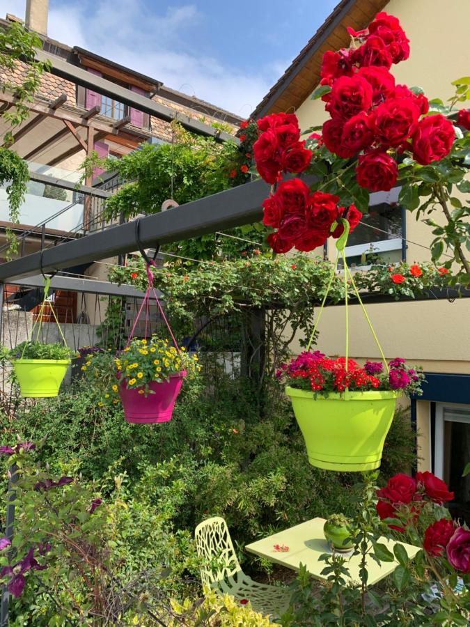 Appartement La Gremillette Gourmande Lavaux à Rivaz Extérieur photo