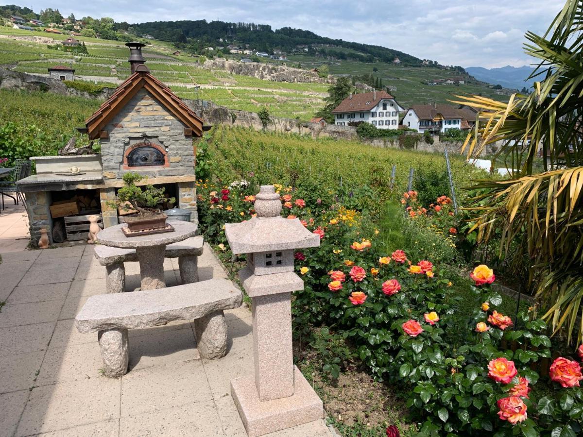Appartement La Gremillette Gourmande Lavaux à Rivaz Extérieur photo