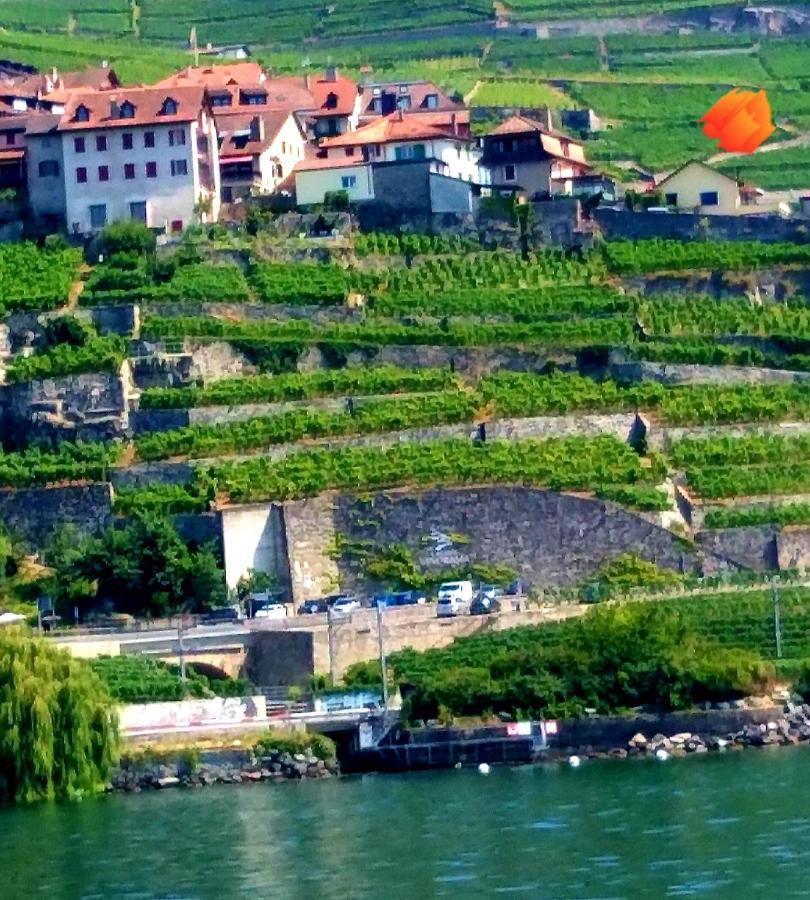 Appartement La Gremillette Gourmande Lavaux à Rivaz Extérieur photo