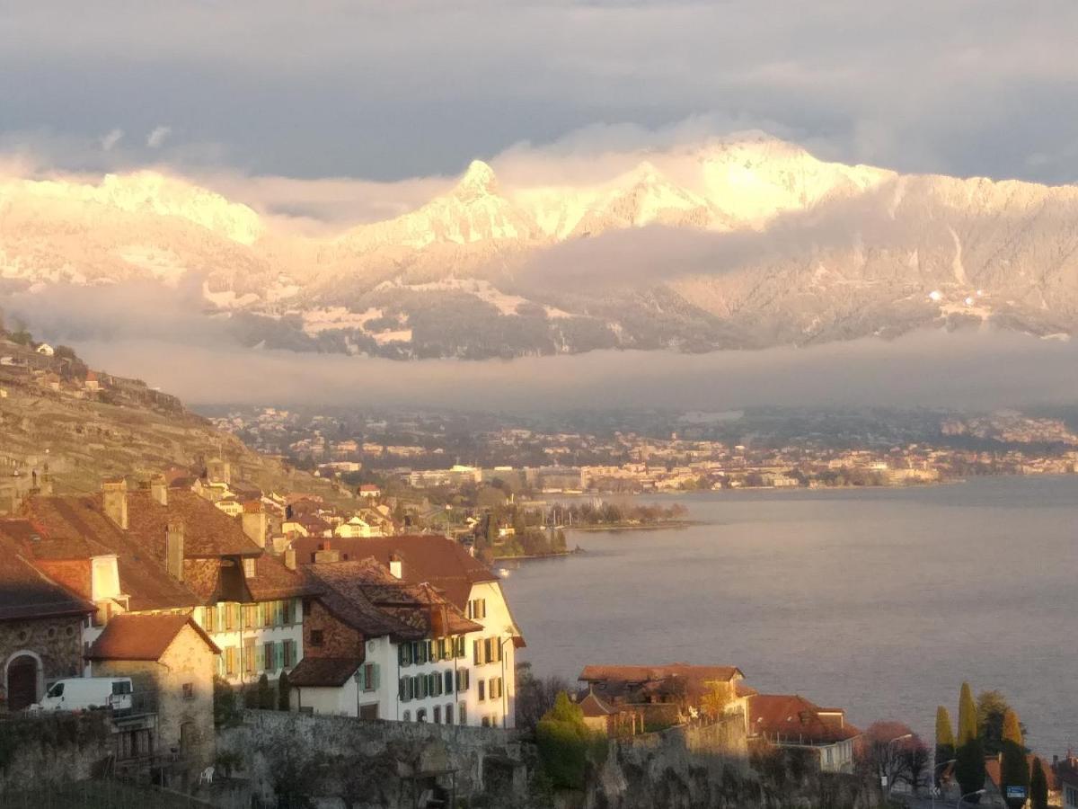 Appartement La Gremillette Gourmande Lavaux à Rivaz Extérieur photo